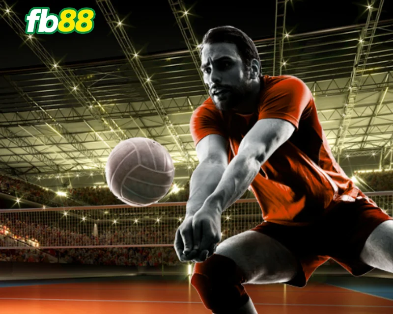 Cược điểm số bóng chuyền FB88