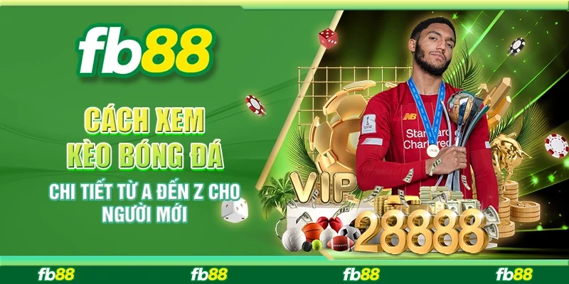 Cách Xem Kèo Bóng Đá Chi Tiết Từ A Đến Z Cho Người Mới