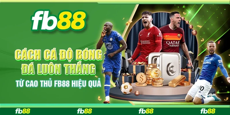 Cách Cá Độ Bóng Đá Luôn Thắng Từ Cao Thủ FB88 Hiệu Quả