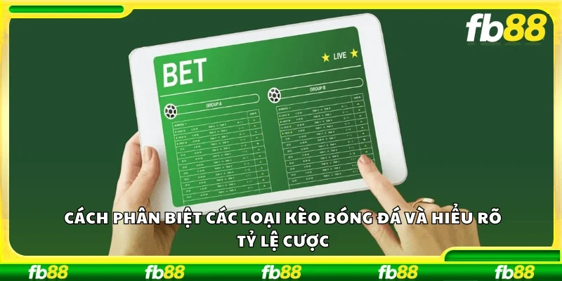 Cách phân biệt các loại kèo bóng đá và hiểu rõ tỷ lệ cược