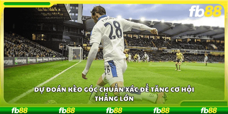 Dự đoán kèo góc chuẩn xác để tăng cơ hội thắng lớn