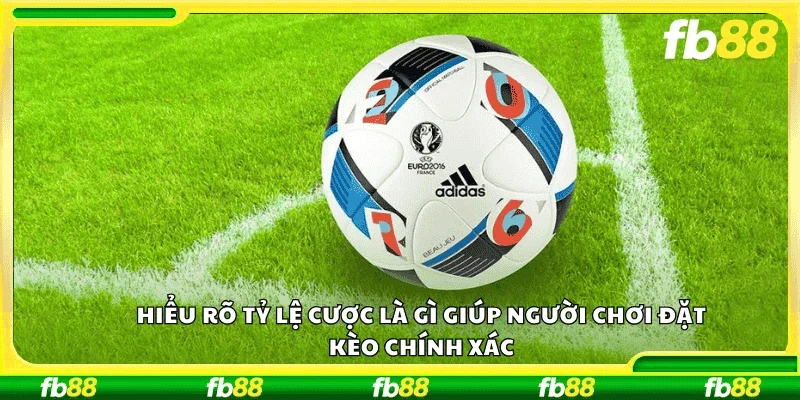 Hiểu rõ tỷ lệ cược là gì giúp người chơi đặt kèo chính xác