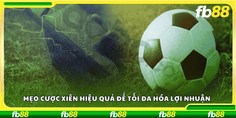 Mẹo cược xiên hiệu quả để tối đa hóa lợi nhuận
