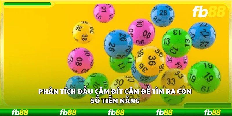 Phân tích đầu câm đít câm để tìm ra con số tiềm năng