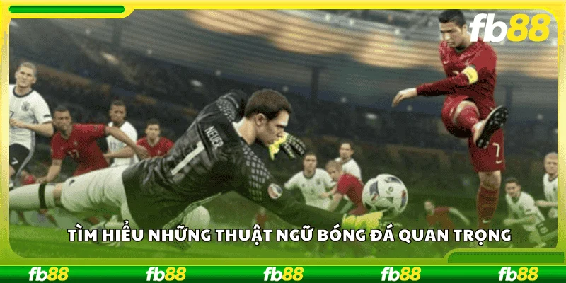 Tìm hiểu những thuật ngữ bóng đá quan trọng
